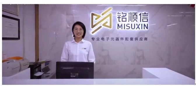 MISUXIN의 확장: 혁신하며 멈추지 않기