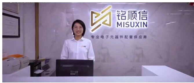 MISUXIN의 역사